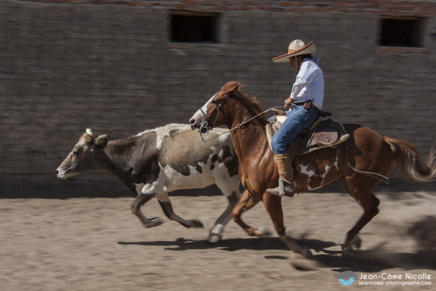 Charros, les cowboys mexicains